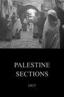Palestine Sections