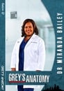 Grey’s Anatomy Saison 12