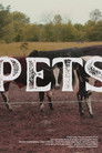 Pets
