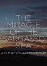 The Miracle of the Sargasso Sea (2019)