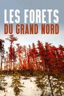 Les forêts du Grand Nord