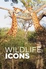 Wildlife Icons Episode Rating Graph poster