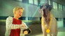 The Talking Dog