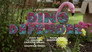 Dino Defender / The Dino Days of Summer
