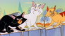 Cat Fight