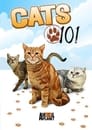 Cats 101 Episode Rating Graph poster