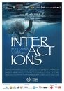 Interactions - When Cinema Looks to Nature