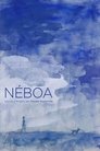 Néboa