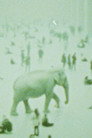 Can GPT Dream of a Pink Elephant?