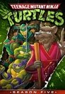 Teenage Mutant Ninja Turtles - seizoen 5