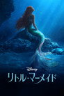 リトル・マーメイド