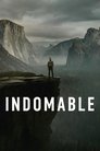 Poster de Indomable