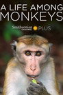 A Life Among Monkeys (2019) In Streaming Ita /Altadefinizione Film Senza Limiti