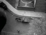 The Piano