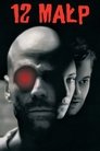Poster for 12 małp