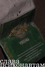 Glory to the Psychonauts