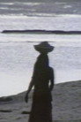 Sable