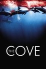 Poster van The Cove