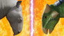 Paraceratherium VS Ankylosaurus