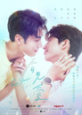 Poster for See Your Love
