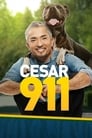 Cesar 911 Episode Rating Graph poster