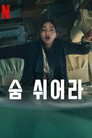 리미티드 시리즈