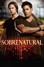 Temporada 8
