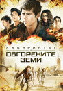 Лабиринтът: В обгорените земи (2015) Филм БГ аудио Цял цял филм онлайн безплатно