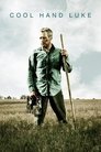 Poster van Cool Hand Luke