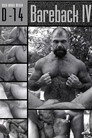 Bareback 4: Huge Poles, Hungry Holes