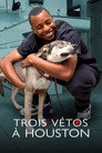 Trois vétos à Houston (2016) - Affiche