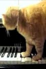 Arnold Schoenberg, op. 11 - I - Cute Kittens