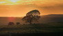 Northumberland