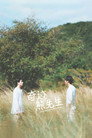 奇迹熊先生