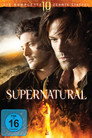 Staffel 10