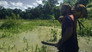 Jagged Jungle