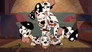 Diamond Dogs