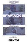 Walaandé