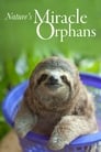 Nature’s Miracle Orphans