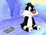 Cool for Cats