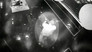 Heroes of the Pulse Nightclub Massacre (1)