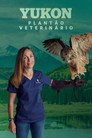 Temporada 11