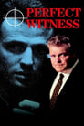 Movie poster for Perfect Witness
