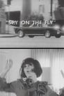 Spy on the Fly
