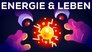 Why Are You Alive – Life, Energy & ATP