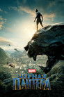Постер: Black Panther