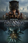 Image Pantera Negra: Wakanda para Sempre