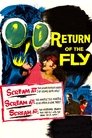 Poster van Return of the Fly
