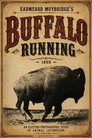 Buffalo Running