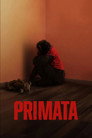 Primate